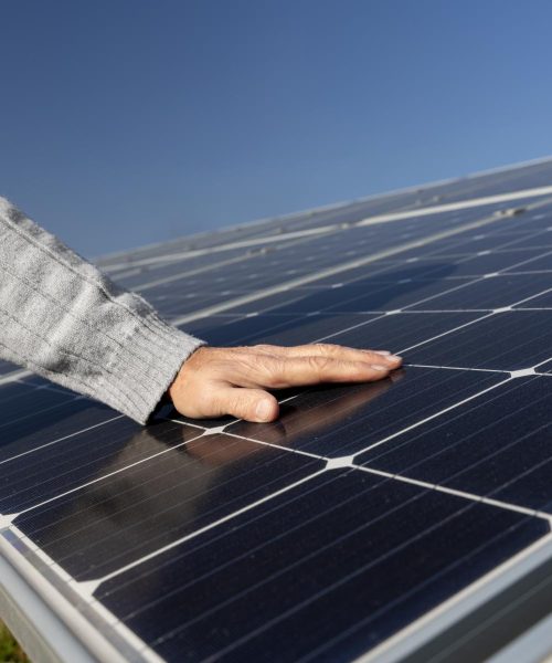 person-near-alternative-energy-plant